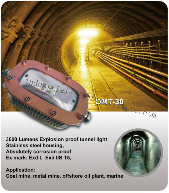 L'estrazione del carbone di bianco 220 del Cree della luce protetta contro le esplosioni fredda di volt LED/acciaio inossidabile si accende 4